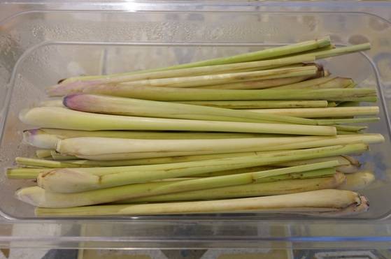 레몬 향이 나고 신맛을 내는 허브 레몬그라스의 뿌리 쪽 줄기. 국내에서도 조금씩 재배를 하고 있다.