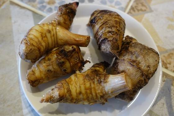 토란과 모양이 비슷한 가랑갈. 똠얌 국물은 가랑갈·라임잎·레몬그라스로 만든다.