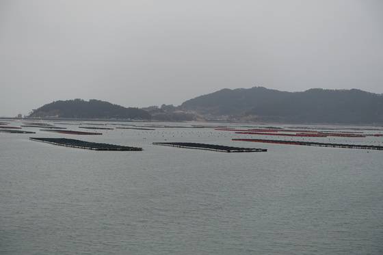 섬 가까이서 본 넙도 내리 마을. 동네 왼쪽 언덕(사진 중간) 숲에 당할머니를 모신 당이 있다.