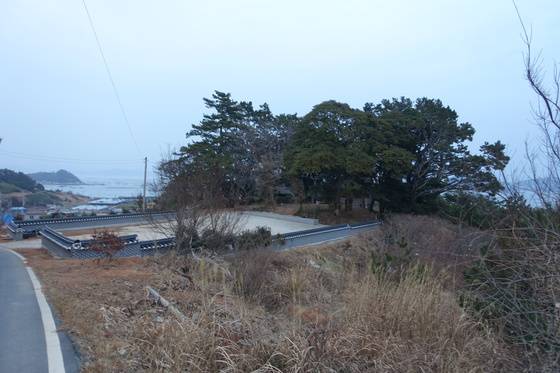 당 너머 고갯마루에서 본 넙도 내리 당숲. 이번 당제를 앞두고 대대적으로 정비하고 시설을 확충했다.