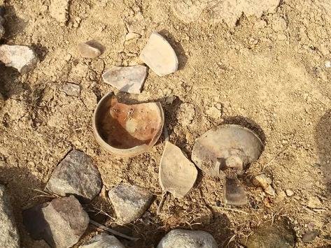 석곽묘에서 나온 신라 토기들.