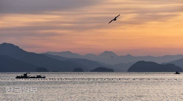 도산면 가오치항에서 첫 배를 타면 선상에서 일출을 맞는다. 바다에 펼쳐진 산수화를 보는 듯하다.