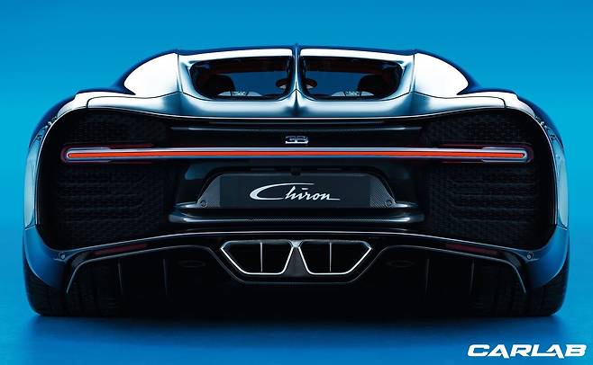 일반 시론의 뒤태