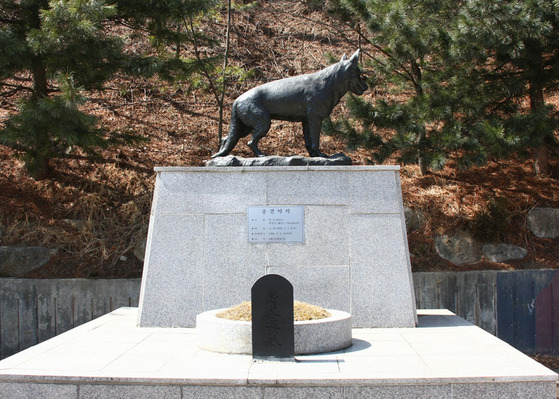 1990년 북한의 제4땅굴 수색작전 도중 폭사한 군견 헌트. 헌트에겐 인헌무공훈장과 함께 소위 계급이 주어졌다. 육군은 헌트 소위 동상도 세웠다. [사진 육군]