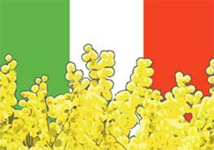 비정상의 눈 3/15