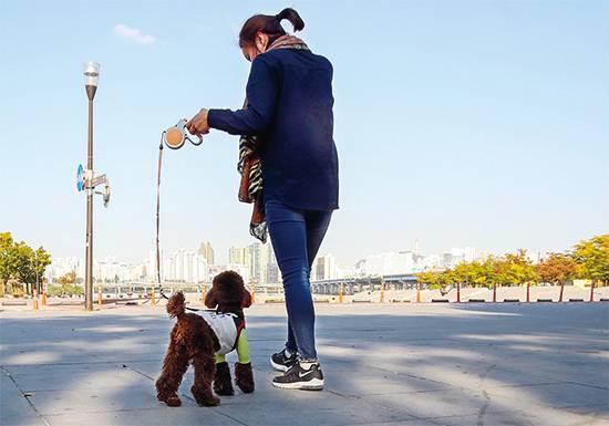 국내 반려동물 인구가 1000만명을 돌파하면서 펫 시장도 급성장하고 있다. 유통·호텔·화장품·가전 등 업종을 불문하고 수많은 기업들이 펫 시장에 뛰어드는 형국이다.