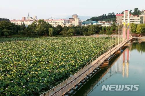 【전주=뉴시스】김민수 기자 = 전주덕진공원 내 연화교 주변전경 (사진=전주시 제공)