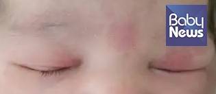 연어반(사진 5). ⓒ박준수