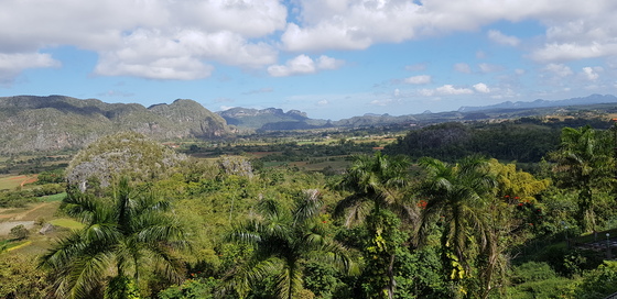 쿠바 비날레스 지역. 독특한 지형과 유기농업으로 여행객을 끌어모으고 있다.