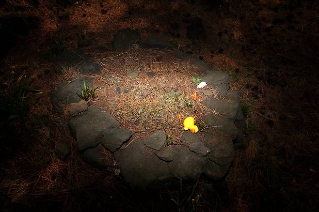 아이들도 제주 4·3을 피해가지 못했다. 조천읍 북촌리 너븐숭이 4·3공원 애기무덤에 추모객이 놓고 간 장난감이 덩그러니 올려져 있다.