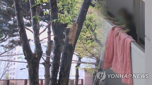 [기사 내용과 상관없음]