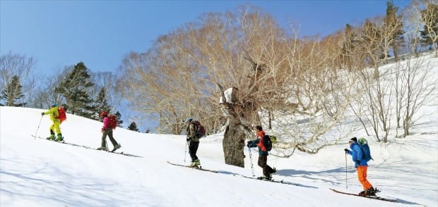 산 전체를 스키장으로 조성한 니가타현의 롯데 아라이 리조트에선 5월까지 봄 스키를 즐길 수 있다.