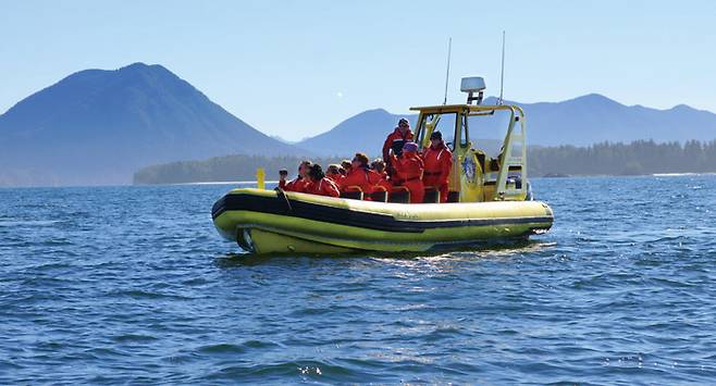 토피노에서 보트를 타고 나가면 고래를 볼 수 있다./ⓒShutterstock_Chantal de Bruijne