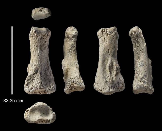 사우디아라비아 북서쪽 사막에서 발굴된 현생인류(호모사피엔스)의 손가락 뼈 화석이다. 독일 연구팀의 연대 측정 결과 이는 8만5000년 전 화석으로 밝혀졌다. 현생인류가 아프리카를 나와 유라시아로 퍼진 시점도 최소 이 시기로 앞당겨졌다. 기존에는 약 6만 년 전에 유라시아로 퍼졌다고 알려져 있었다. -사진 제공 이언 카트라이트