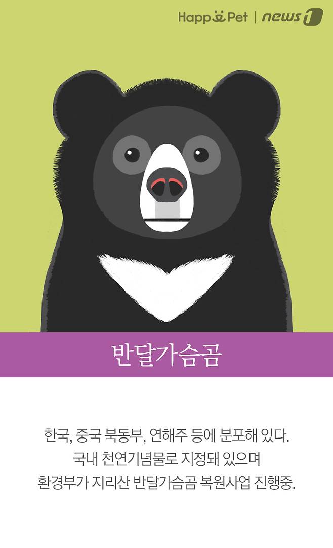반달가슴곰