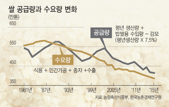 연도별 쌀 공급량과 수요량 변화. 1999년부터 공급량이 수요량을 초과한 상황이 이어지고 있다. [이데일리 이미나 기자]