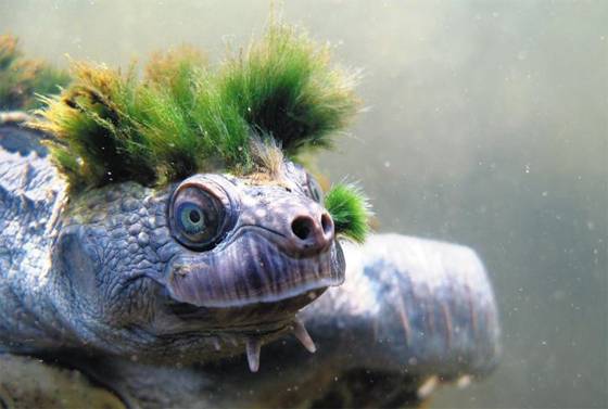 /영국 런던 동물학회