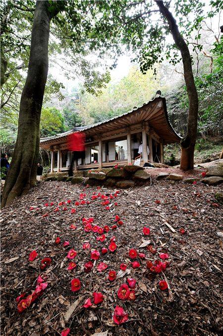 남도유배길은 다산 정약용의 숨결이 살아있는 곳이다. 다산초당, 백련사 동백림, 강진만, 영랑 김윤식 생가 등 볼거리 많다. 3월이면 다산초당에 주변엔 낙화한 붉은 동백꽃이 장관이다.