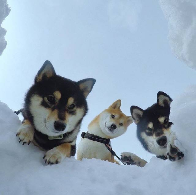 위로해 준 따뜻한 분들 느무 감사했구요...