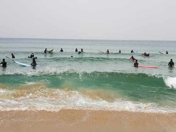 지난 15일 강원도 양양군 현남면 죽도 해변을 서퍼들이 서핑을 즐기고 있다. 박진호 기자