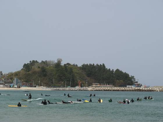 지난 15일 강원도 양양군 현남면 죽도 해변을 서퍼들이 서핑을 즐기고 있다. 박진호 기자