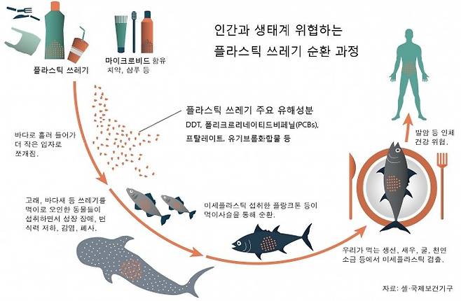 자료: 셀·국제보건기구