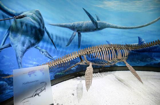 해남 우항리 공룡화석지 내 공룡박물관. 프리랜서 장정필