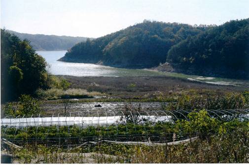 안동댐 불법 경작 현황. [사진 김도환 사진작가]