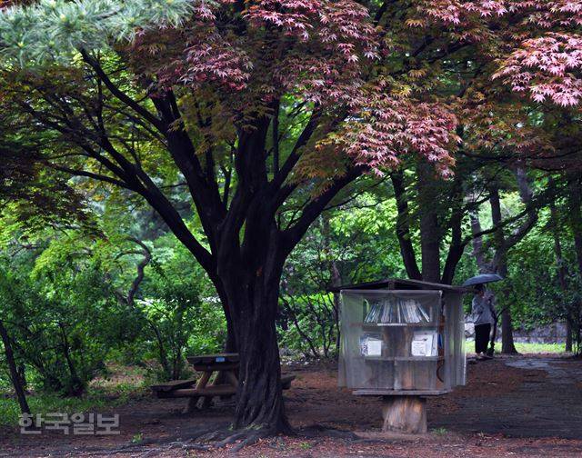 신상순의 시선-숲속 도서관