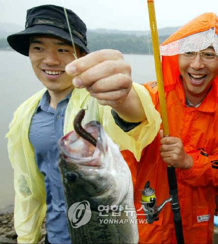 [연합뉴스 자료사진]