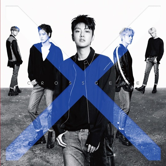 크로스진