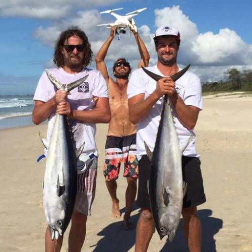 세계일보 자료사진