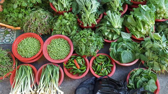 햇것들. ⓒ한미숙