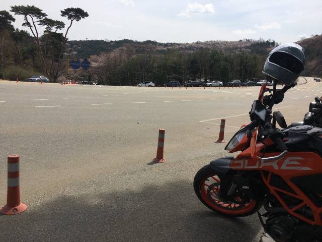 아직 벚꽃이 덜 피었던 4월 초반의 용인