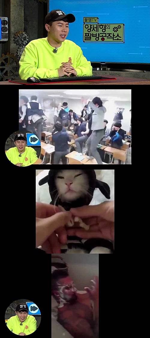 양세형