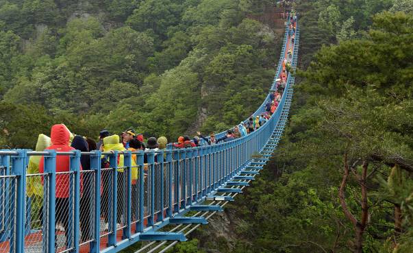 원주 소금산 출렁다리가 폭발적인 인기를 끄는 가운데 산행을 하다 다치는 일이 빈번하게 발생하고 있다./서울경제