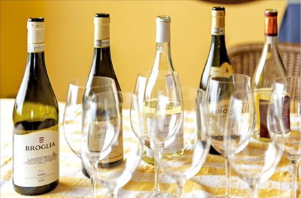 피에몬테 화이트와인의 대표주자 ‘브롤리아 가비'.