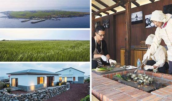 왼쪽 사진은 가파도 섬 전경(위)과 청보리 밭(가운데), 그리고 폐가를 리모델링 해 만든 숙박시설‘가파도 하우스’(아래)의 모습. 오른쪽 사진은 현대카드 소속 요리사가 가파도 해녀들에게‘뿔소라 화로구이’요리법을 알려주는 모습. /천호정·신경섭 작가