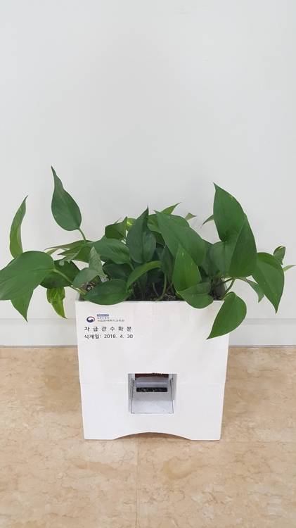 스스로 물 만드는 화분 [농촌진흥청 제공=연합뉴스]