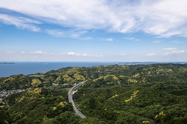 치바현 노코기리산 정상에서 내려다 보이는 울창한 숲. 햇빛 한 줌 들어갈 틈이 없을 것 같이 나무들이 빽빽이 들어서 있다. ⓒ지상훈