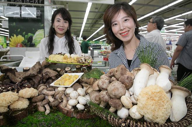 서울 서초구 농협하나로마트 양재점에서 모델들이 산간지역에서 채취한 일능이·삼표고·이송이 등 버섯세트를 소개하고 있다. [뉴시스]