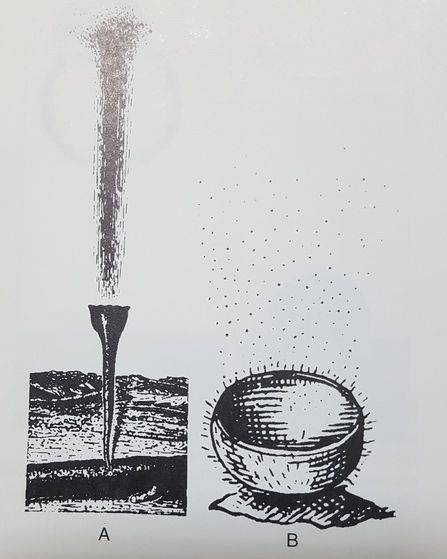 버섯 포자의 확산. 공중으로 직접 포자를 쏘아 올리기도 한다. [중앙포토]