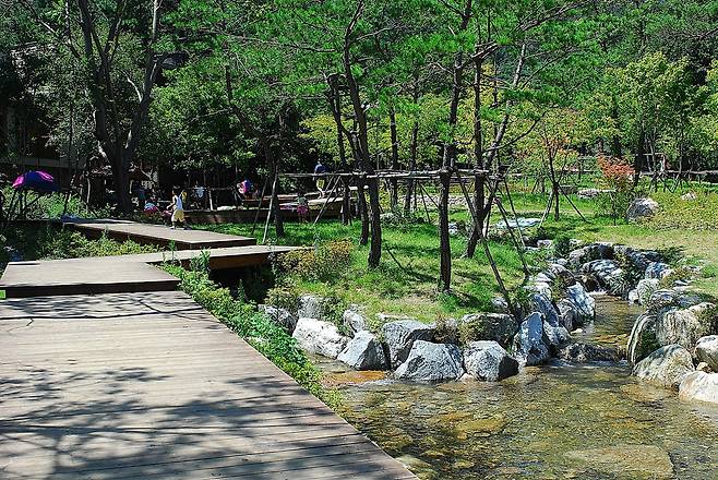 계곡 들어가는 입구에 나무데크길을 만들어 놓았다.  ⓒ홍윤호