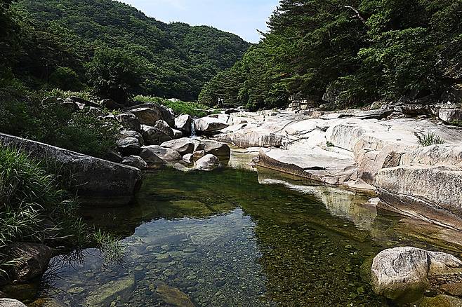 도로에서 도락산장으로 들어와 차를 세우고 좀 걸어 내려가야 볼 수 있다.  ⓒ홍윤호