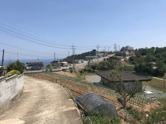 천지 원자력발전소 1·2호기 건설이 추진됐다 무산된 경북 영덕군 영덕읍 석리 일대 전경. 영덕=김정석 기자