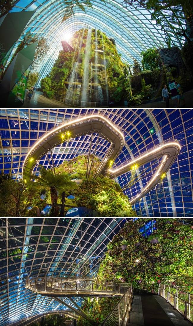 [클라우드 포레스트. 사진출처=가든스바이더베이 홈페이지]