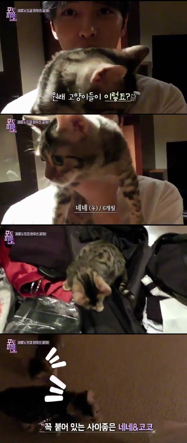 /사진=‘포토피플 인 도쿄’ 캡쳐