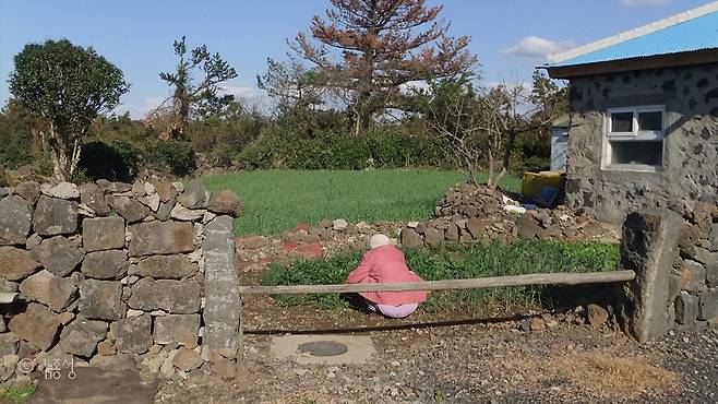 정겨운 섬 마을에서 만난 정다운 정낭.  ⓒ김종성