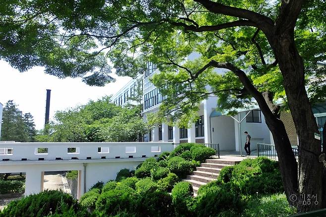 나무들이 많이 사는 정독도서관. ⓒ김종성