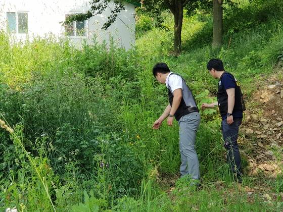 평택해양경찰청 소속 수사관들이 경기도 안산시 풍도의 주택다에서 마약 양귀비를 찾고 있다. 최모란 기자